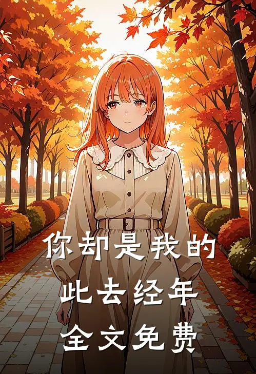 你却是我的此去经年全文免费