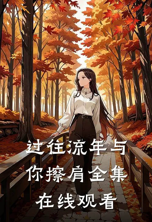 过往流年与你擦肩全集在线观看