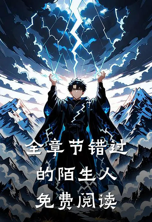 全章节错过的陌生人免费阅读