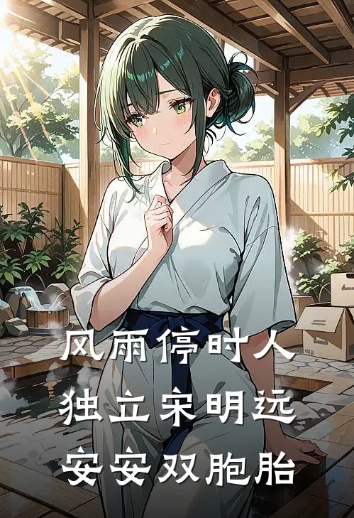 风雨停时人独立宋明远安安双胞胎