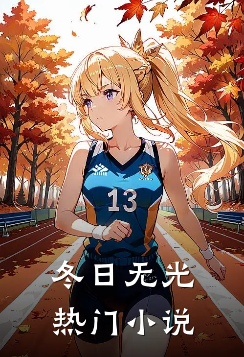 冬日无光热门小说