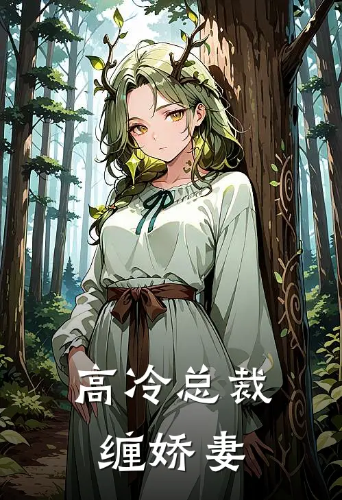 高冷总裁缠娇妻