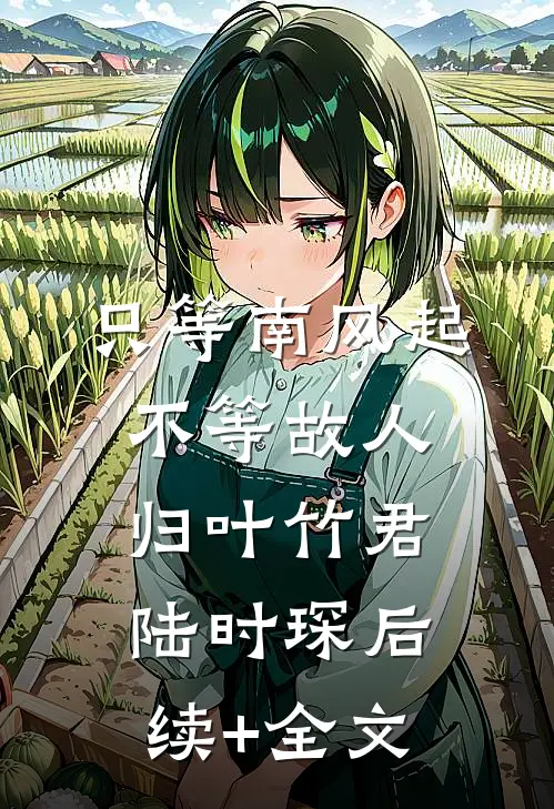 只等南风起，不等故人归叶竹君陆时琛后续+全文