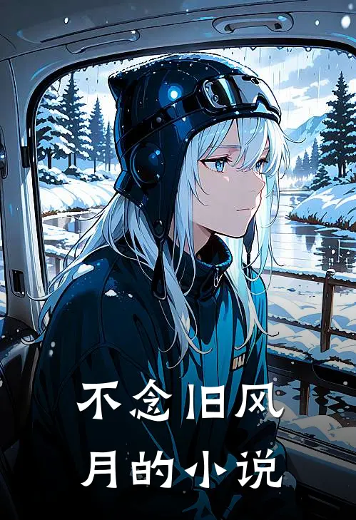 不念旧风月的小说