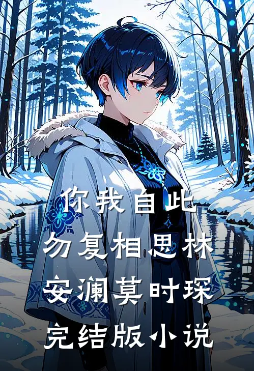 你我自此，勿复相思林安澜莫时琛完结版小说