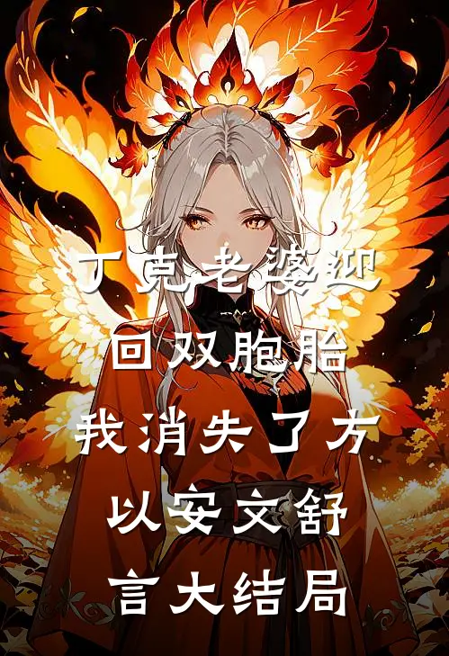 丁克老婆迎回双胞胎，我消失了方以安文舒言大结局