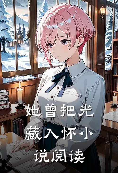 她曾把光藏入怀小说阅读