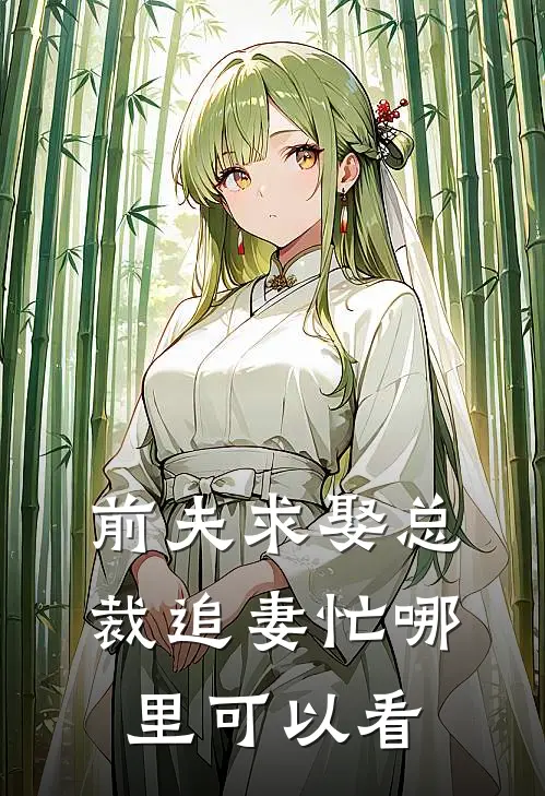 曲婉凌慕白的小说