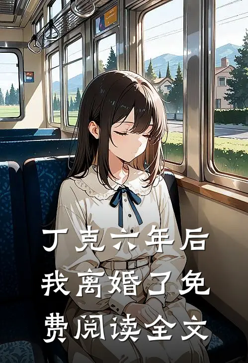 丁克六年后，我离婚了免费阅读全文