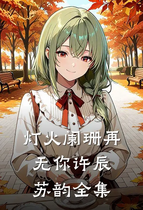 灯火阑珊再无你许辰苏韵全集