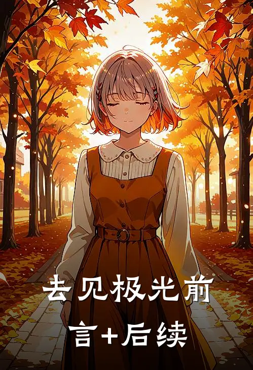 去见极光前言+后续
