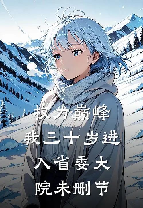 权力巅峰：我三十岁进入省委大院未删节