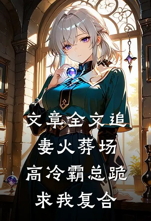 文章全文追妻火葬场：高冷霸总跪求我复合