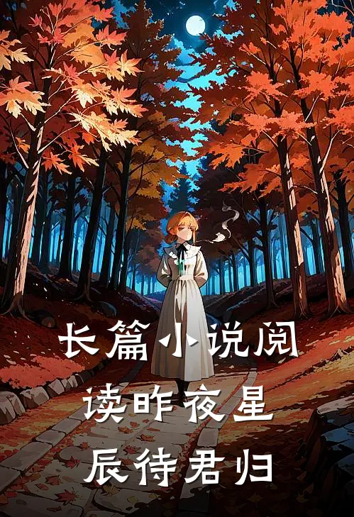 长篇小说阅读昨夜星辰待君归