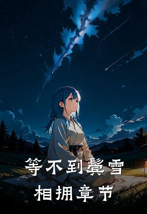 等不到鬓雪相拥章节