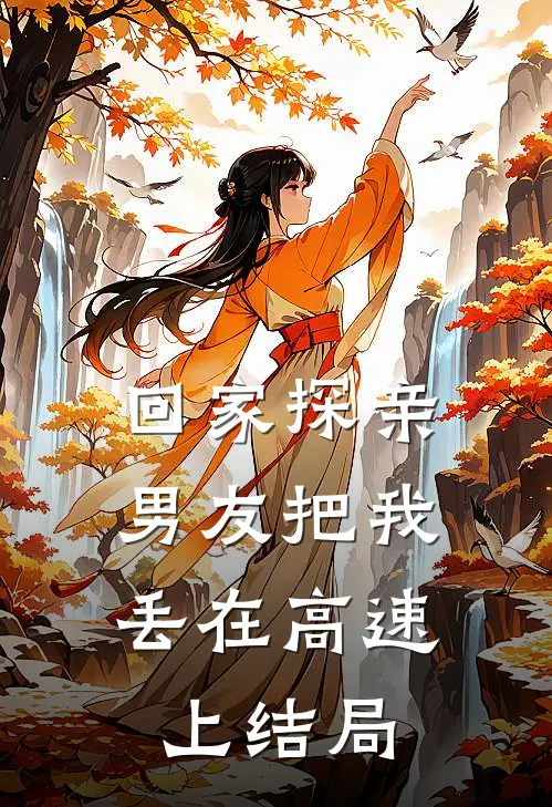 回家探亲,男友把我丢在高速上结局怎么样