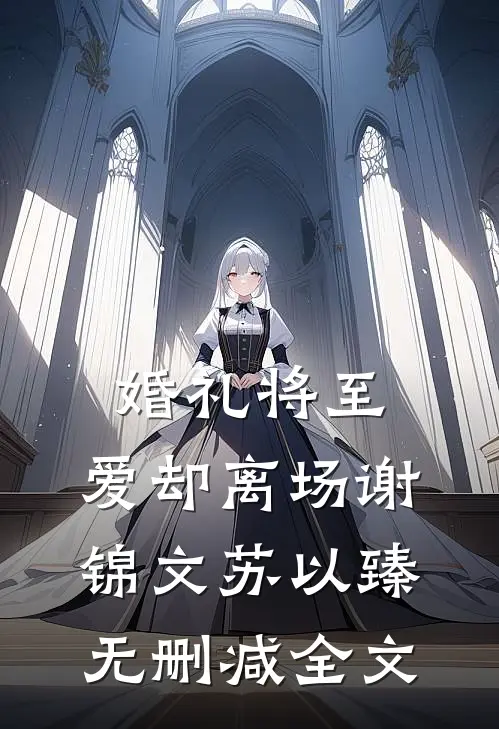 婚礼将至，爱却离场谢锦文苏以臻无删减全文