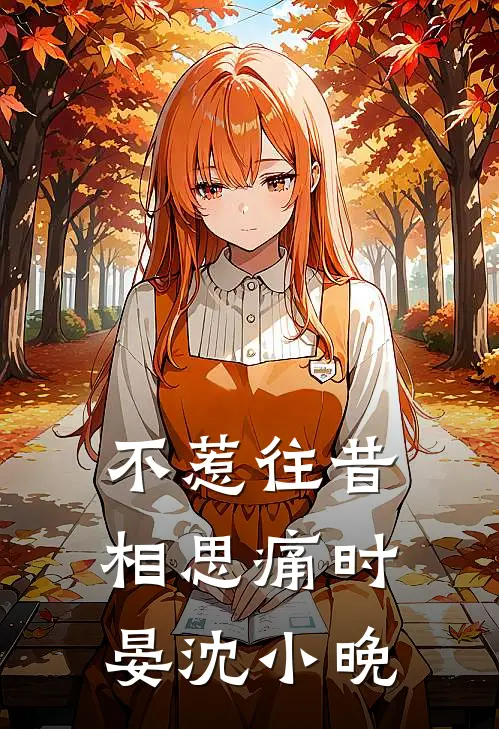 不惹往昔相思痛(时晏沈小晚)