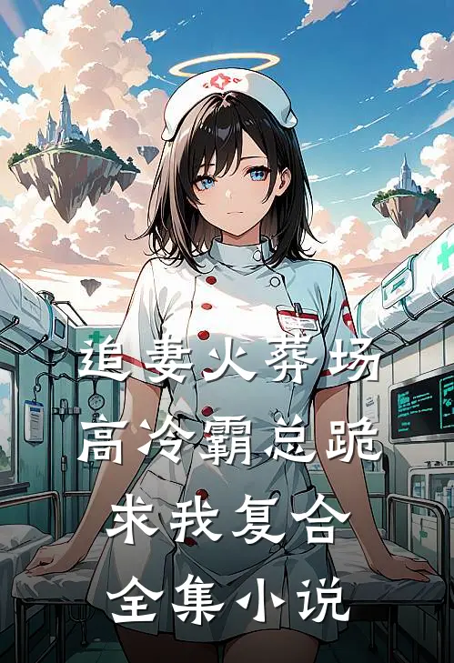 追妻火葬场：高冷霸总跪求我复合全集小说