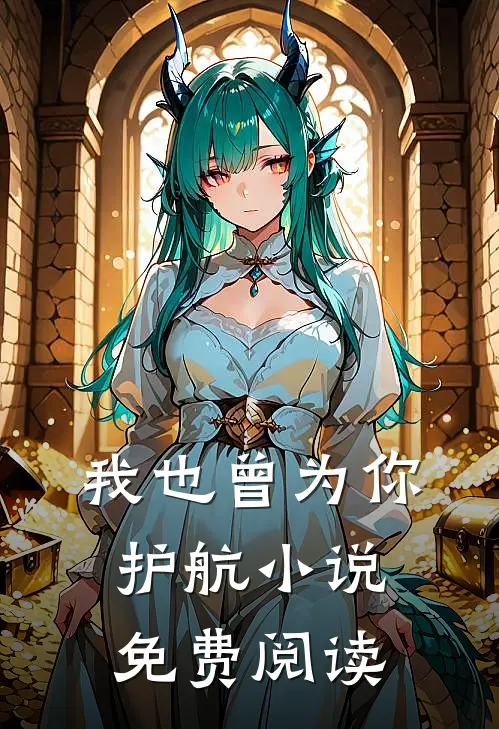我也曾为你护航小说免费阅读