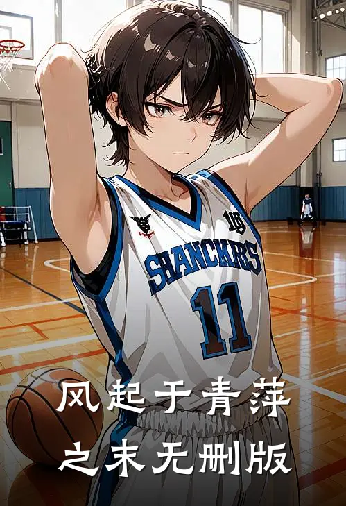 风起于青萍之末无删版