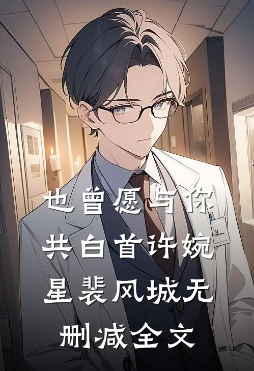 也曾愿与你共白首许婉星裴风城无删减全文