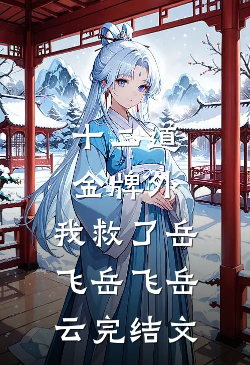 十二道金牌外，我救了岳飞岳飞岳云完结文