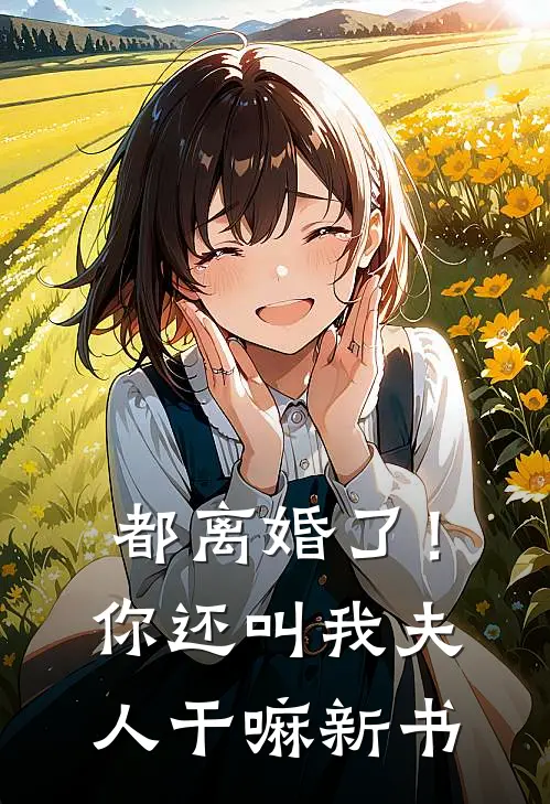 都离婚了！你还叫我夫人干嘛新书