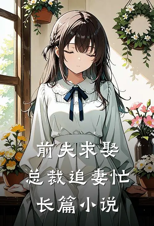 前夫求娶：总裁追妻忙长篇小说