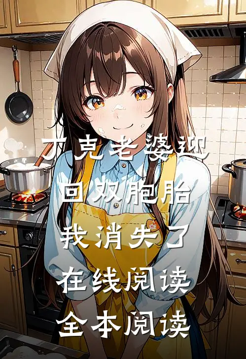 丁克老婆迎回双胞胎，我消失了在线阅读全本阅读