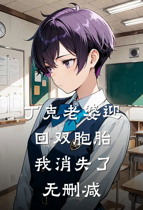 丁克老婆迎回双胞胎，我消失了无删减
