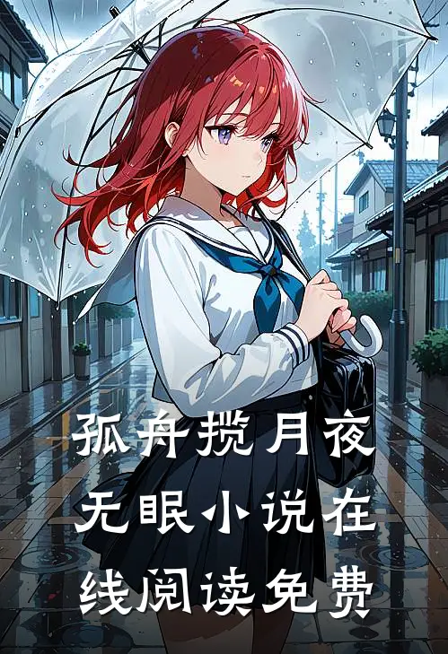 孤舟揽月夜无眠小说在线阅读免费