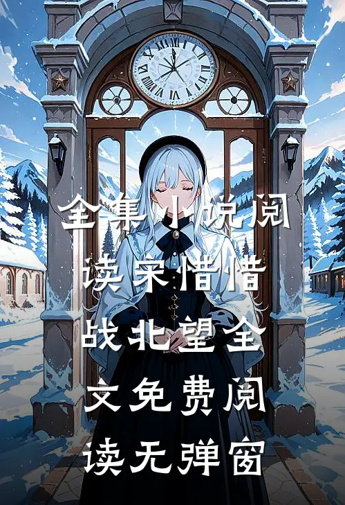 全集小说阅读宋惜惜战北望全文免费阅读无弹窗