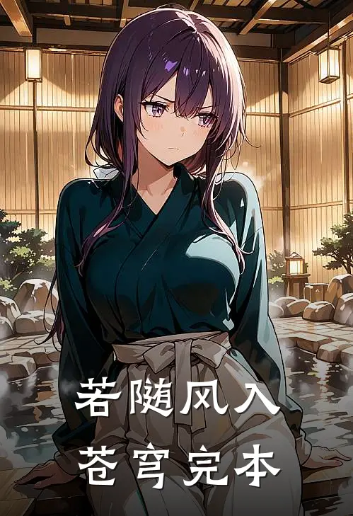 若随风入苍穹完本