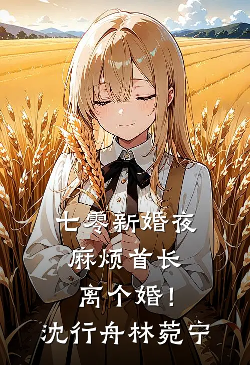七零新婚夜，麻烦首长离个婚！沈行舟林菀宁