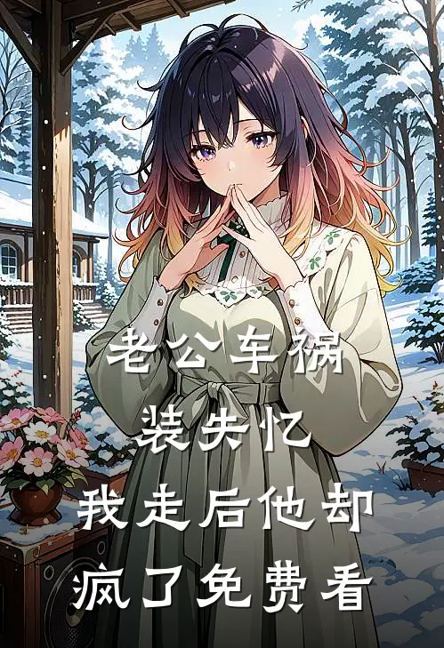 老公车祸装失忆，我走后他却疯了免费看